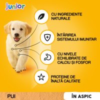 PEDIGREE Junior Plic Hrană Umedă pentru Câini Pui, XS-XL, 100g - 8