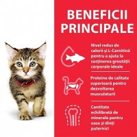Hill's SP Feline Kitten Pui, 1.5 Kg - 3