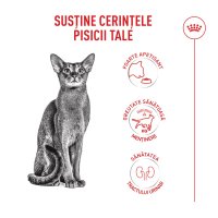 ROYAL CANIN Feline Health Nutrition Fussy, hrană uscată pisici, apetit capricios, 4kg - 4