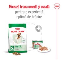 ROYAL CANIN Mini Adult, hrană uscată câini, 4kg - 10