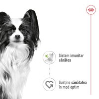 ROYAL CANIN X-Small Adult hrană umedă câini (în sos), 85g - 3