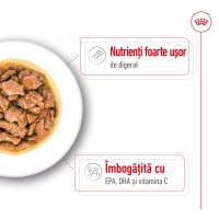 ROYAL CANIN X-Small Adult hrană umedă câini (în sos), 85g - 4