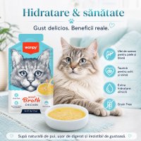 WANPY Supa de Carne pentru Pisici cu Pui, Plic Umid, 50g - 3