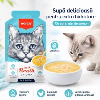 WANPY Supa de Carne pentru Pisici cu Pui, Plic Umid, 50g - 4