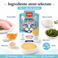 WANPY Supa de Carne pentru Pisici cu Pui, Plic Umid, 50g - 5