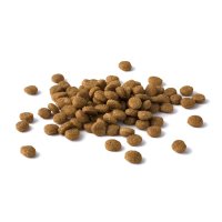 PURINA Dog Chow Adult Sensitive, Somon, hrană uscată câini, sensibilități digestive, 14kg - 4