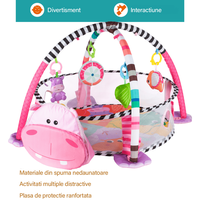 Centru de Activitati Multifunctional VisionHub® pentru Bebei, 3 in 1 cu Bile Colorate si Jucarii Interactiv - 1