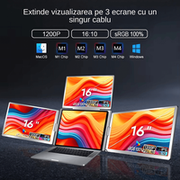 Extensie 3 ecrane pentru laptop, 3*16 inch, full HD, IPS, sRGB 100%, 1920*1200, USB Type-C/USB Type A - 5
