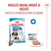 ROYAL CANIN Giant Starter Mother & Babydog, mama și puiul, hrană uscată câini, 15kg - 10