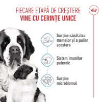 ROYAL CANIN Giant Starter Mother & Babydog, mama și puiul, hrană uscată câini, 15kg - 4