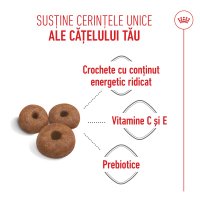 ROYAL CANIN Giant Starter Mother & Babydog, mama și puiul, hrană uscată câini, 15kg - 5