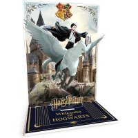 Figurina Acrilica Harry Potter - Diorama Harry si Buck in Hogwarts - 1