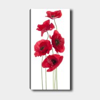 Tablou DKY128322 Multicolor 50x120 cm - 2