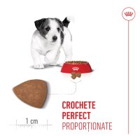 ROYAL CANIN Mini Puppy, hrană uscată câini junior, 800g - 6