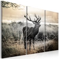 Tablou Canvas Dangerous Horns I 90x60 cm - Bimago - 1