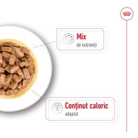 ROYAL CANIN Mini Ageing, hrană umedă câini senior, (în sos), 85g - 4