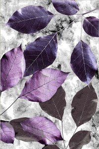 Covor Conceptum Hypnose Multicolor 120x180 cm 100% Poliester Antiderapant 476HFT2118 - 2