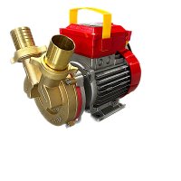Electropompa Rover 40 pentru transferul vinului si al lichidelor alimentare - 1
