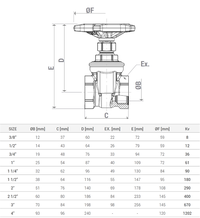 Robinet cu sertar Giacomini R55Y009, 2 1/2”, din alama, FI, actionare manuala, pentru apa rece, calda si abur, 16 bar - 1