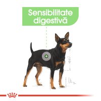 ROYAL CANIN Mini Digestive Care, hrană uscată câini, confort digestiv, 8kg - 4