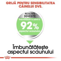 ROYAL CANIN Mini Digestive Care, hrană uscată câini, confort digestiv, 8kg - 5
