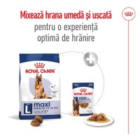 ROYAL CANIN Maxi Adult 5+, hrană uscată câini, 15kg - 9