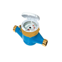 Contor de apa rece B Meters GMDM-I pentru bransament - 1