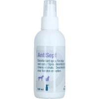 Antisept, 100 ml - 1