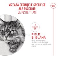 ROYAL CANIN Feline Health Nutrition Healthy Ageing 11+, hrană uscată pisici senior, 400g - 5