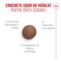 ROYAL CANIN Feline Health Nutrition Healthy Ageing 11+, hrană uscată pisici senior, 400g - 6