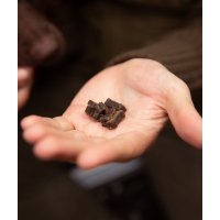 ESSENTIAL Mini Delights pentru Câini, XS-S, Curcan, Recompense Fără Cereale, 100g - 4