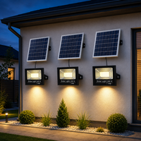 Set 3 Proiectoare LED Solare cu Telecomanda, IP67, Lumină Albă Rece - 1