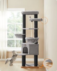 Ansamblu pisici Feandrea Gri 55x55x195 cm - 6