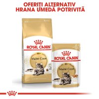 ROYAL CANIN Maine Coon Adult, hrană umedă pisici, (în sos), 85g - 8