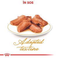 ROYAL CANIN Maine Coon Adult, hrană umedă pisici, (în sos), 85g - 5