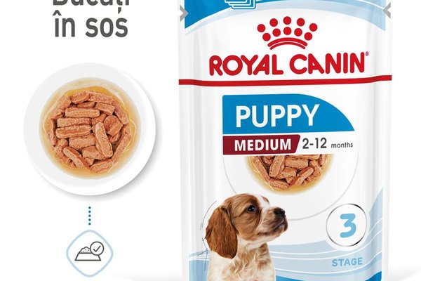Royal Canin Medium Puppy hrana umeda caine junior (in sos), 10 x 140 g