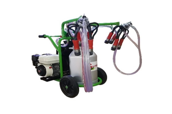 Mulgatoare Vaci Green Line T240 Aluminiu PC, bidon 40l aluminiu, motor 6.5 CP, 2 posturi, 16-20 bovine pe ora