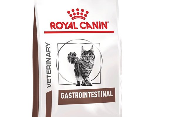 ROYAL CANIN Gastrointestinal, dieta veterinara, hrana uscata pisici, sistem digestiv, 2 kg