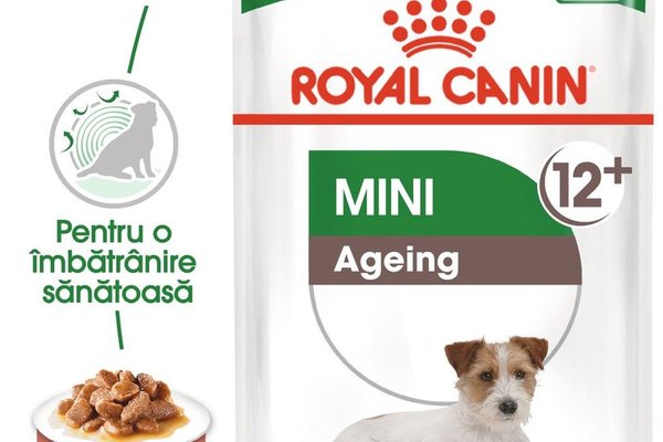 Royal Canin Mini Ageing 12+  hrana umeda caine senior (in sos), 12 x 85 g