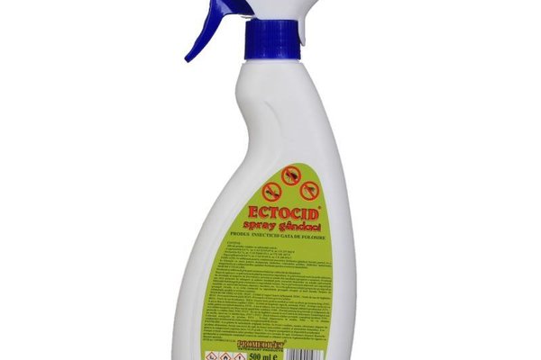 Ectocid Spray Gandaci, 500 ml