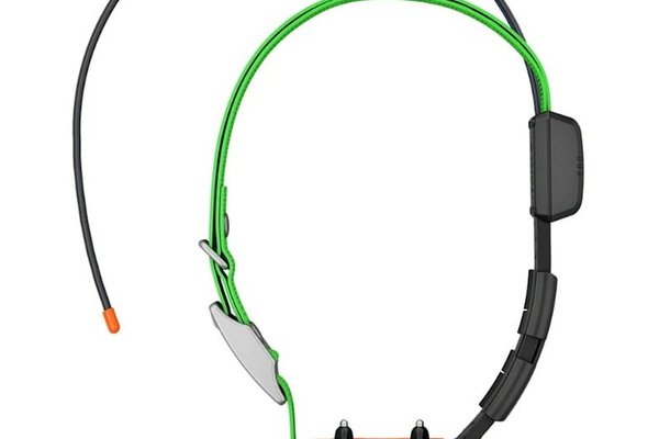Zgarda GPS ALPHA TT25K pentru Monitorizarea Câinilor