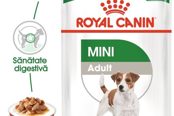 Royal Canin Mini Adult hrana umeda caine (in sos), 12 x 85 g