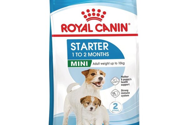 Royal Canin Mini Starter Mother & Babydog, mama si puiul, hrana uscata caine, 8 kg
