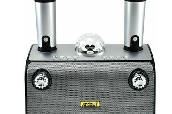Dispozitiv Karaoke Disco Q YX899 putere 15W cu 2 microfoane wireles
