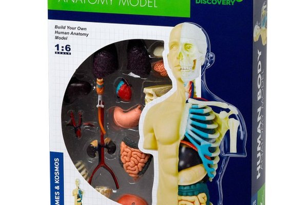 Set educativ STEM - Anatomia corpului uman