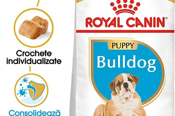 Royal Canin Bulldog Puppy hrana uscata pentru caini junior, 3 kg