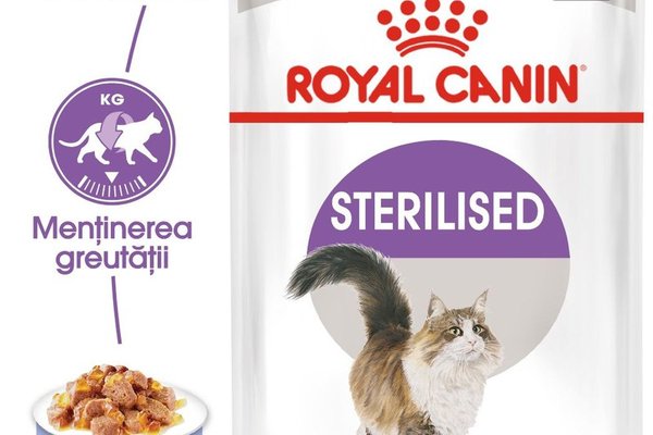 Royal Canin Sterilised Adult hrana umeda pisica sterilizata (in aspic), 12 x 85 g