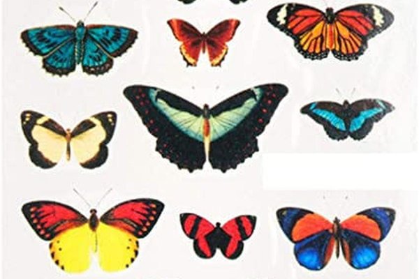Tatuaj Decorativ pentru Unghii STZ-1005 - Everin.ro
