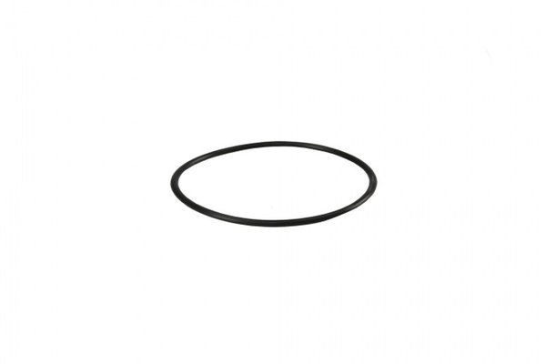 Oring pentru carcasa membrana osmoza inversa YT-3 925x40