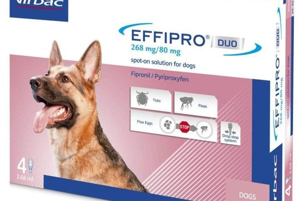 Effipro Duo Dog L 268 mg pipete antiparazitare caini talie mare (20 - 40 kg), 4 pipete
